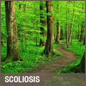 Scoliosis, Chiropractor Northern Ireland